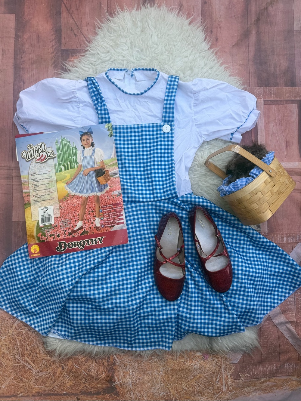 Blue Gingham Dorothy Costume Dress with White Blouse - Kids Costume